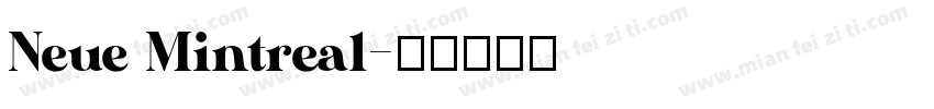 Neue Mintreal字体转换